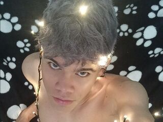 Stivengil